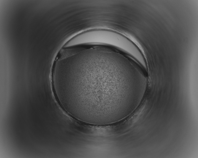 X0000089700951200706281452