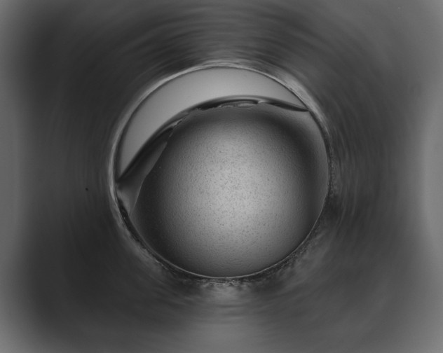 X0000089700955200706281452