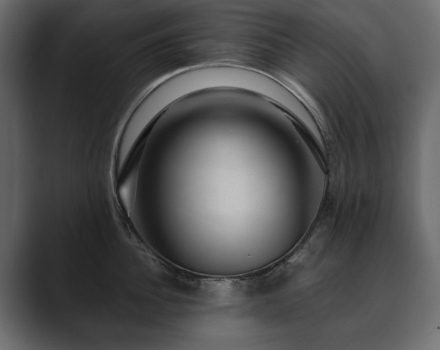 X0000089700956200706281452