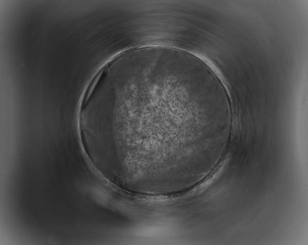 X0000089700957200706281452