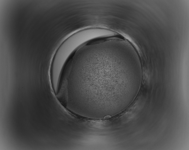 X0000089700959200706281452