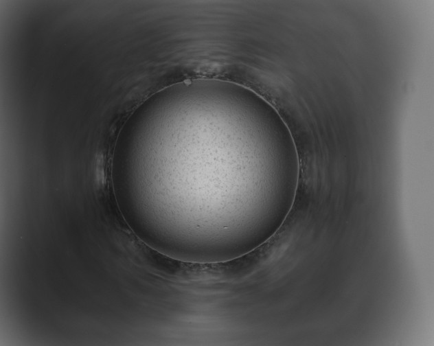 X0000089700962200706281451