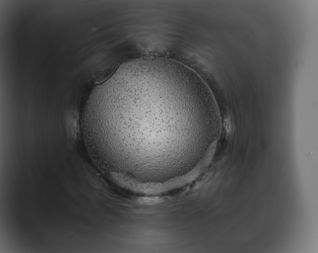 X0000089700963200706281451