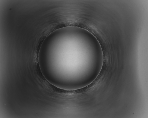 X0000089700964200706281451