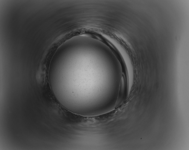 X0000089700968200706281451