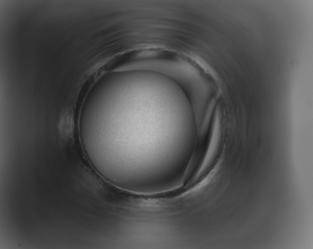 X0000089700969200706281451