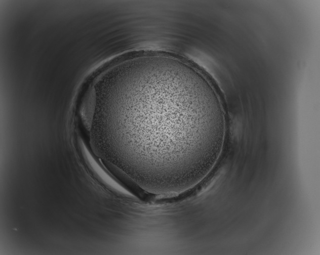 X0000089700971200706281451