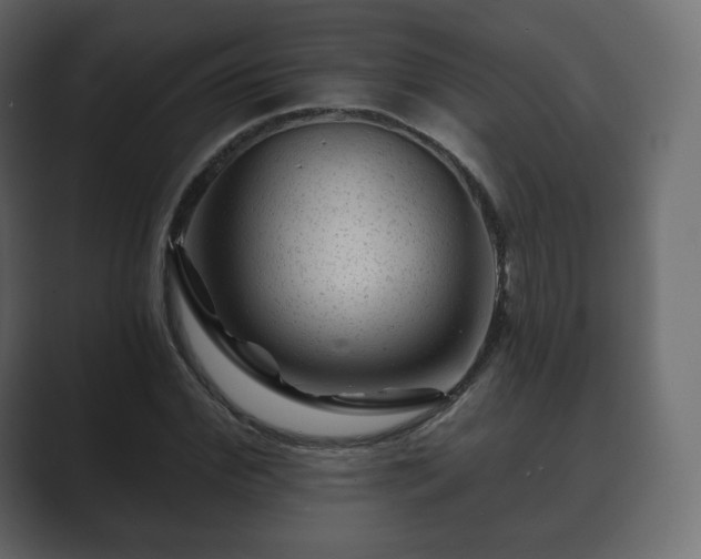 X0000089700972200706281451