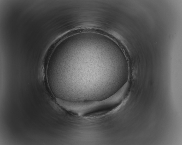 X0000089700973200706281451