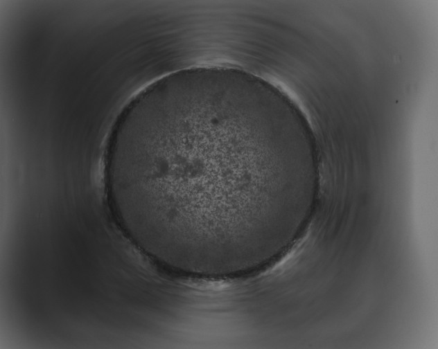 X0000089700975200706281451