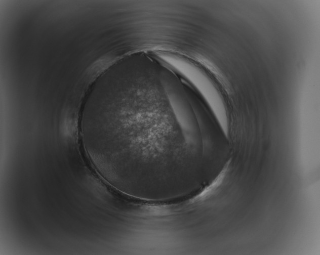 X0000089700977200706281451