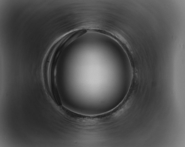 X0000089700981200706281451