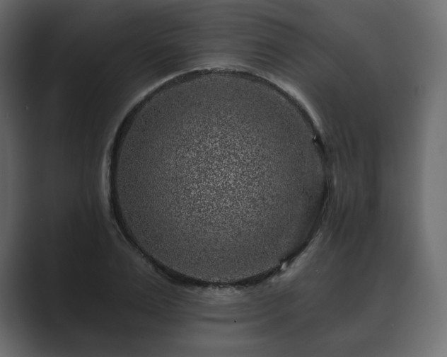 X0000089700983200706281451