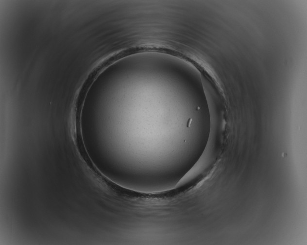 X0000089700984200706281451