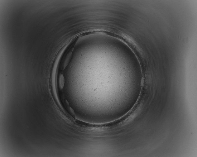 X0000089700985200706281451