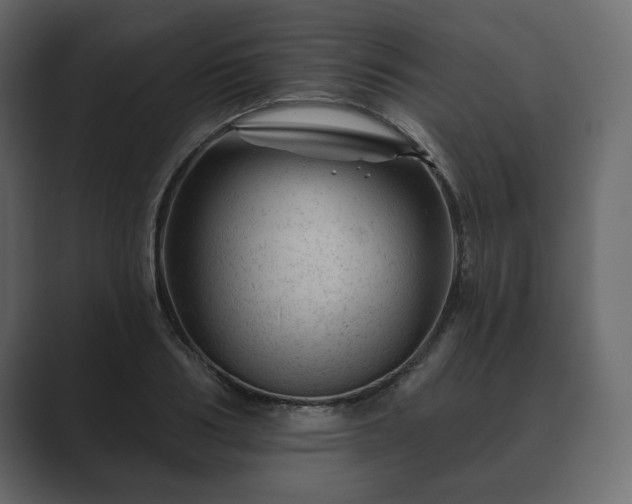 X0000089700986200706281451