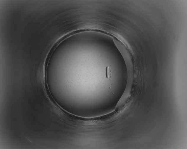 X0000089700988200706281451