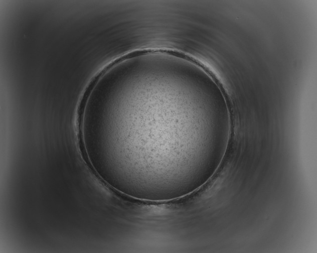 X0000089700990200706281451