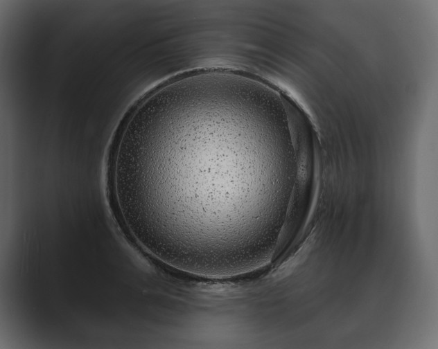 X0000089700991200706281451