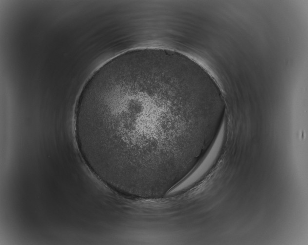 X0000089700998200706281451