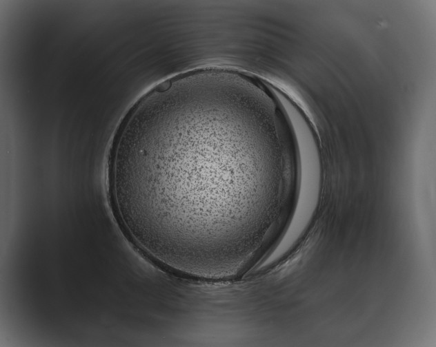 X0000089700999200706281451