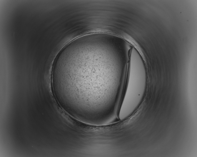 X0000089701002200706281451