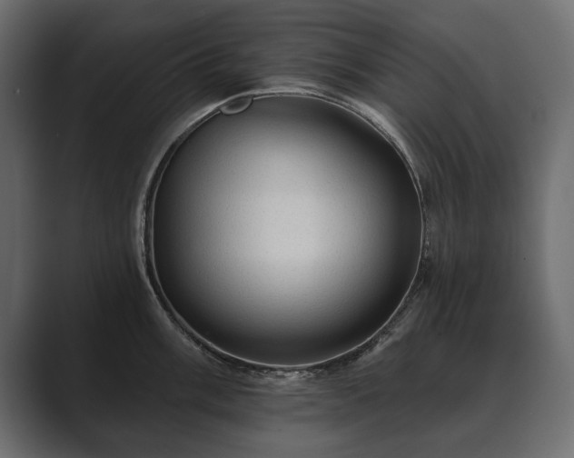 X0000089701003200706281451