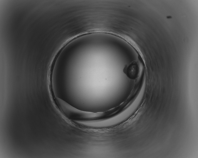 X0000089701005200706281451