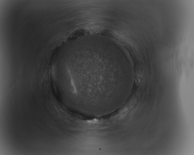 X0000089701010200706281450