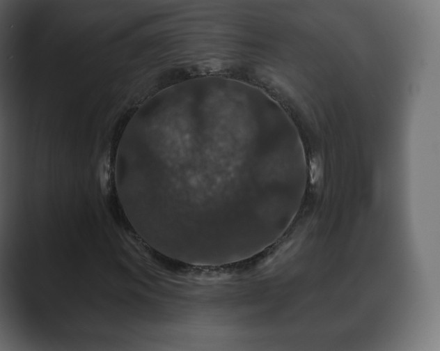 X0000089701011200706281450