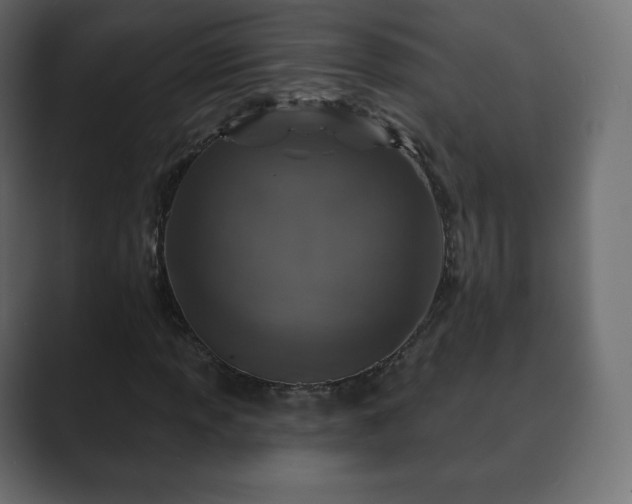 X0000089701013200706281450