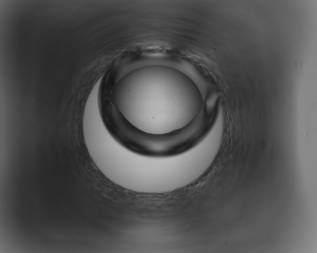 X0000089701014200706281450