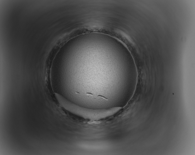 X0000089701016200706281450