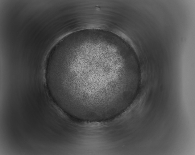 X0000089701019200706281450