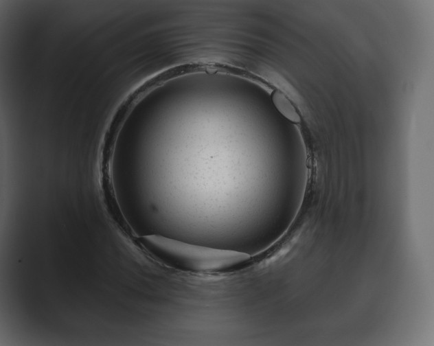 X0000089701020200706281450