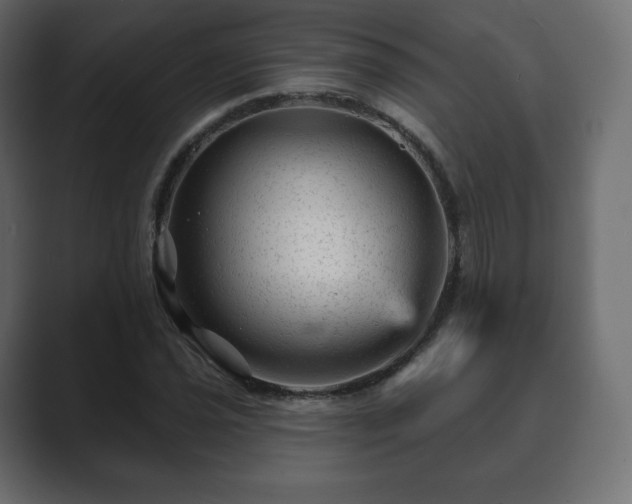 X0000089701021200706281450