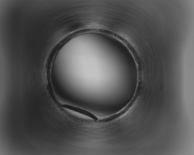 X0000089701022200706281450