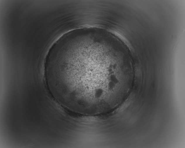 X0000089701023200706281450