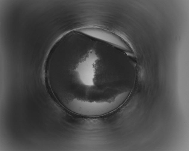 X0000089701024200706281450