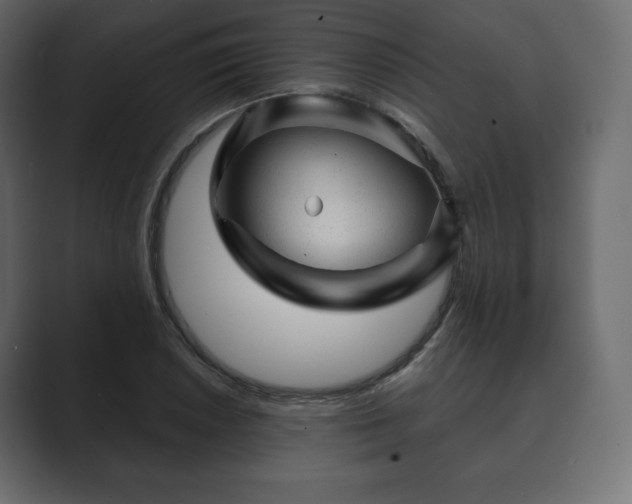 X0000089701026200706281450