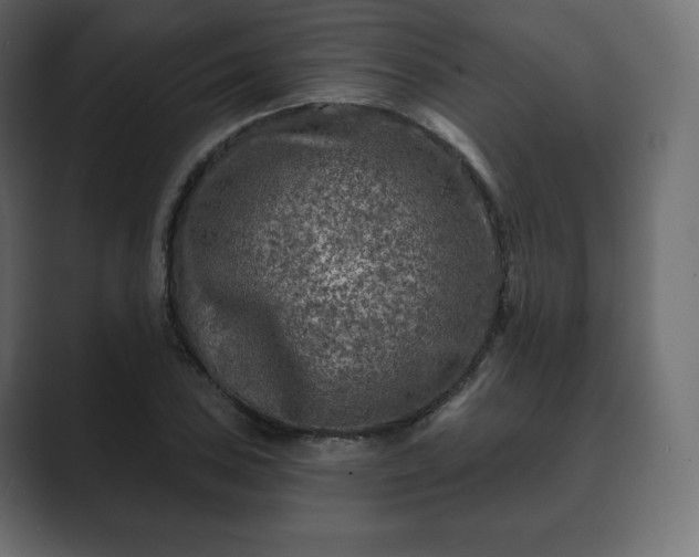 X0000089701027200706281450