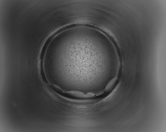 X0000089701029200706281450