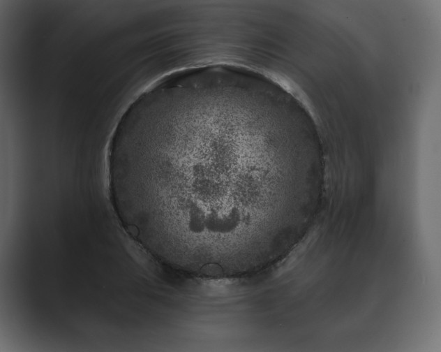 X0000089701031200706281450