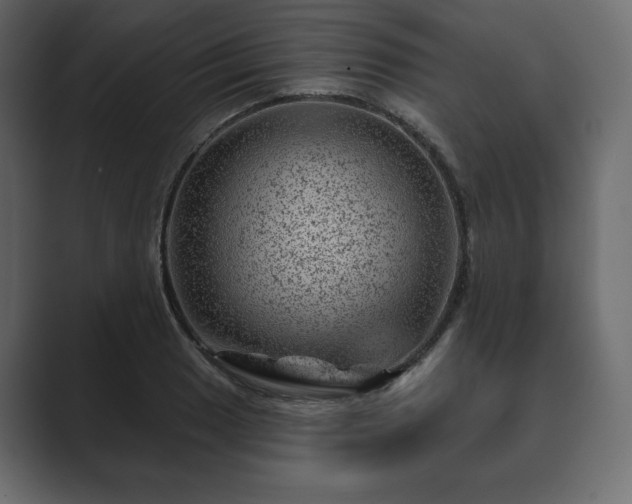 X0000089701033200706281450