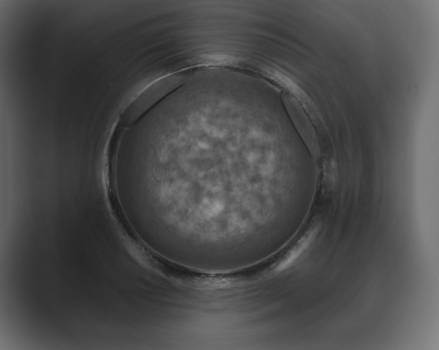 X0000089701034200706281450