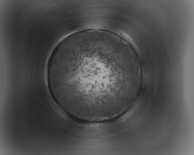 X0000089701035200706281450