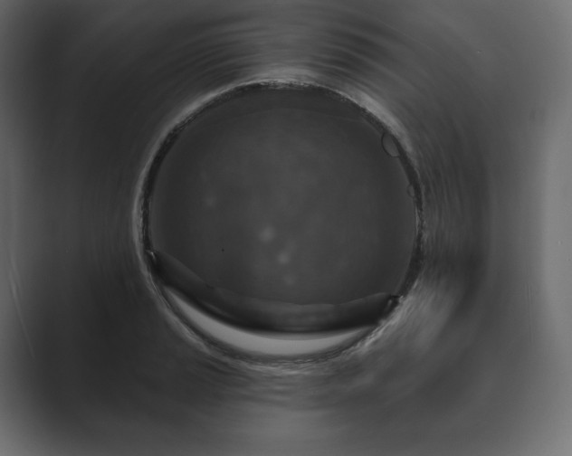 X0000089701037200706281450