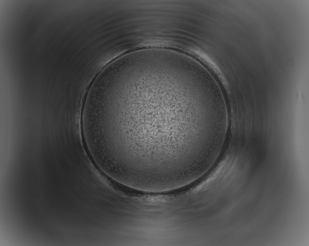 X0000089701041200706281451