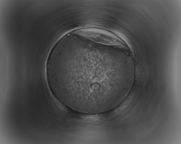 X0000089701047200706281451