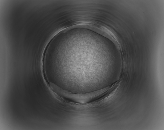 X0000089701050200706281451